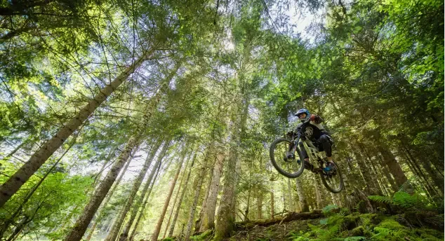 Bikepark Piau Engaly dans les arbres