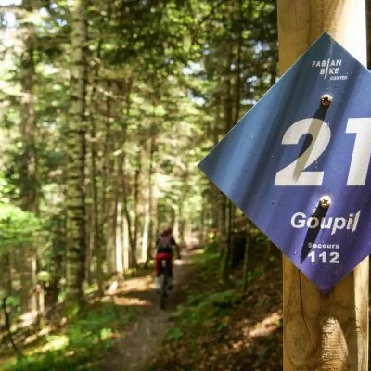 panneau d'indication de la piste Goupil en sous-bois
