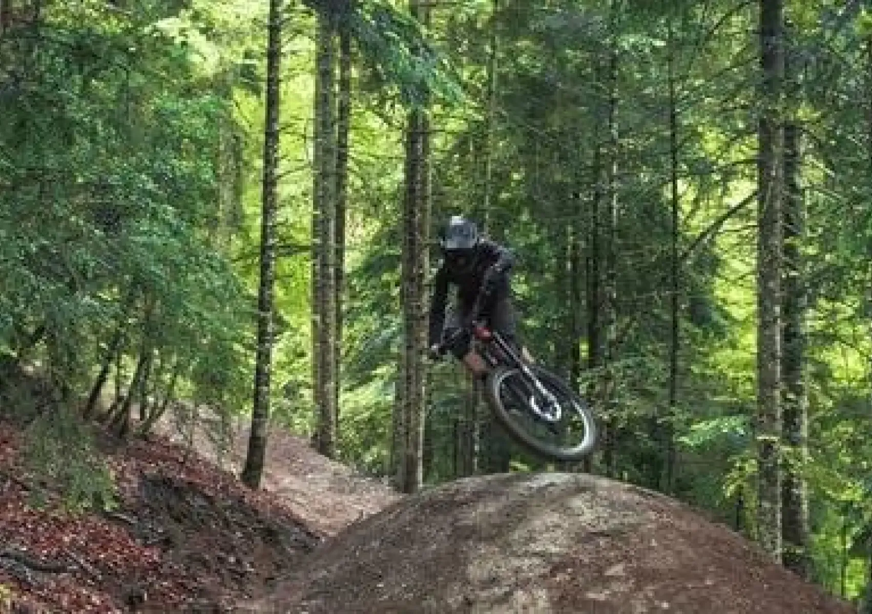 Saut et whip dans le sous-bois de la piste de vtt de Fabian