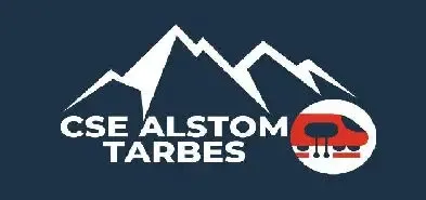 partenaire logo alstom