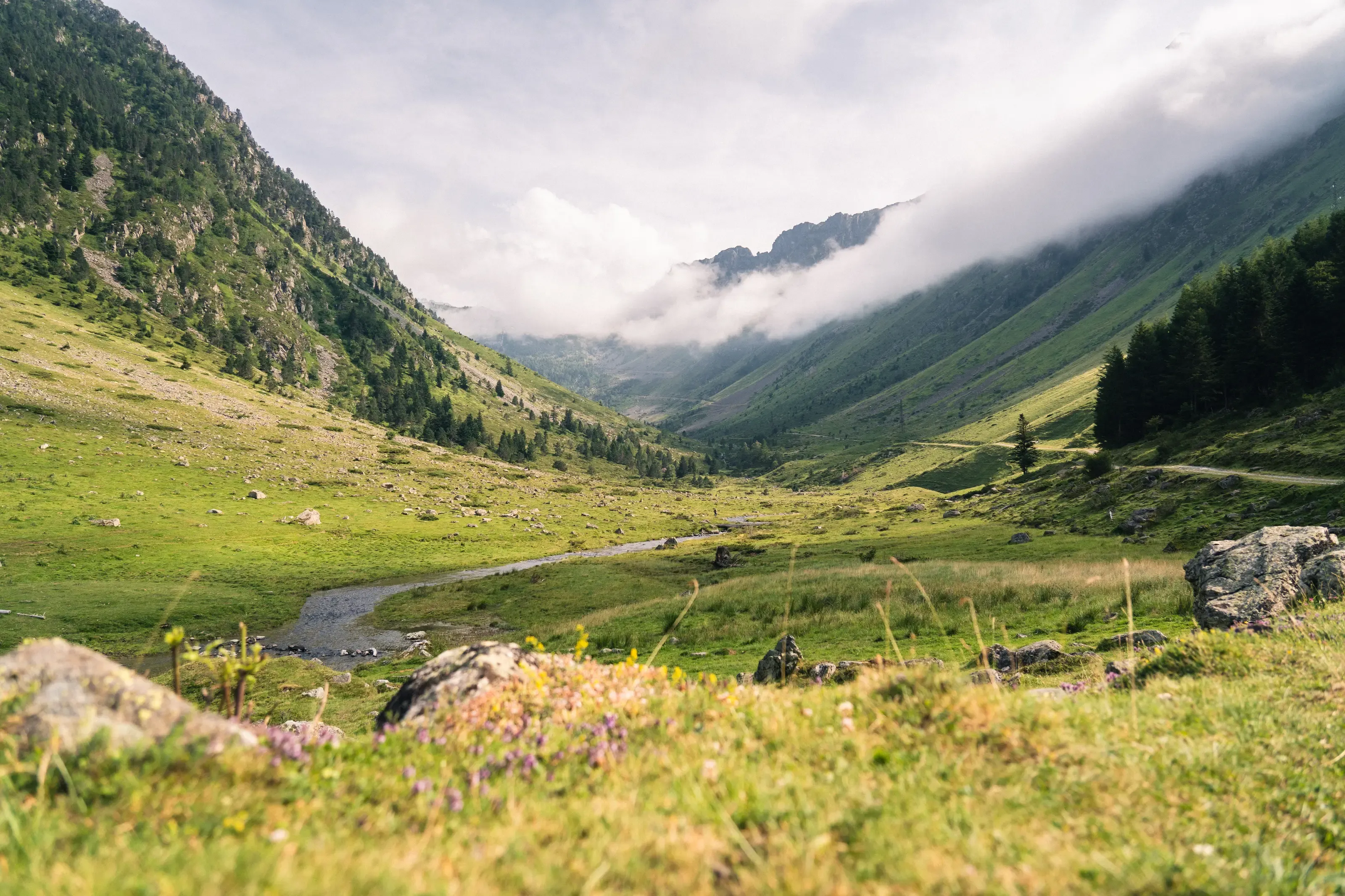 Vallée de Barèges en été 