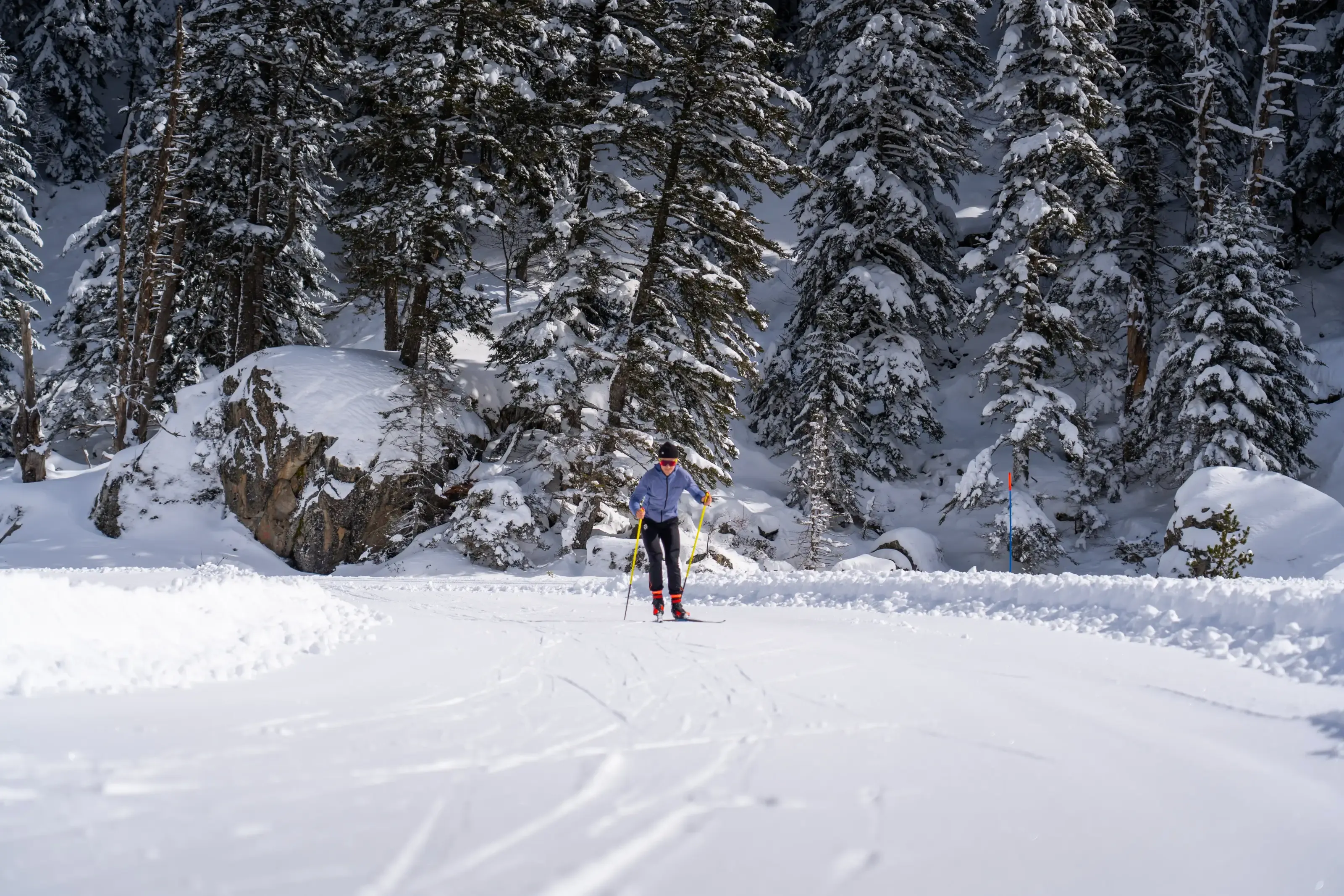 Un skieur de fond en skating sur les pistes de la forêt du Braca