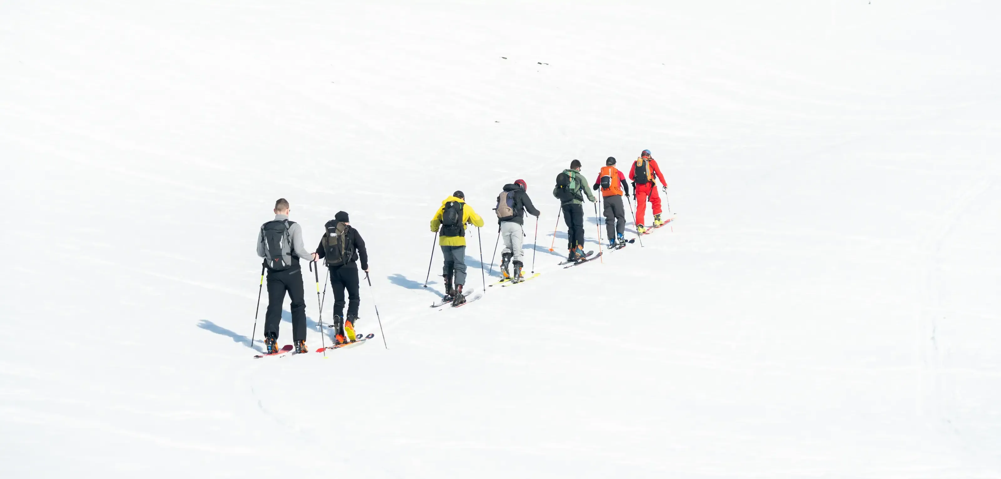 Un groupe de skieur de randonnée sur le domaine de PIau Pineta.