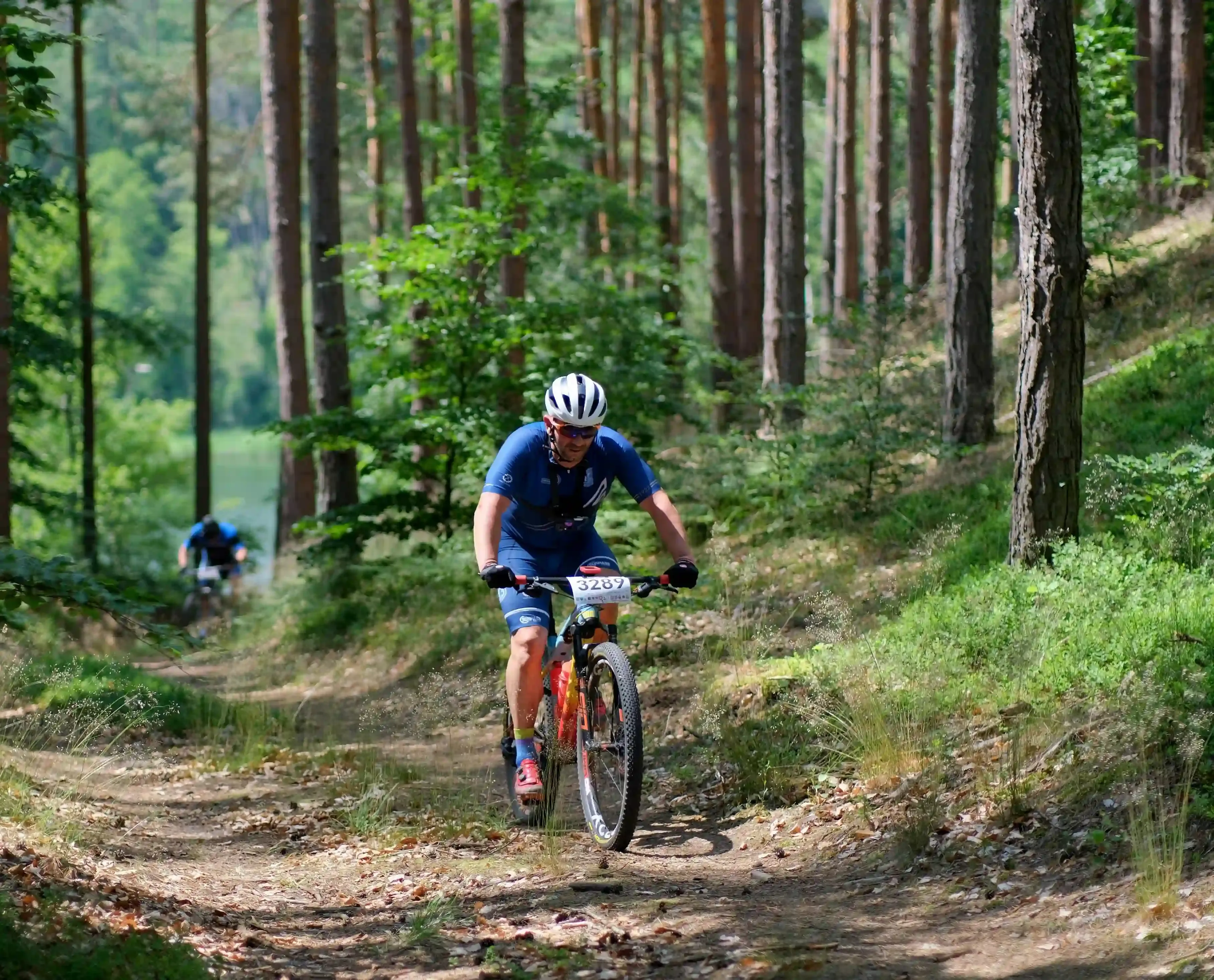 Image de VTT en forêt
