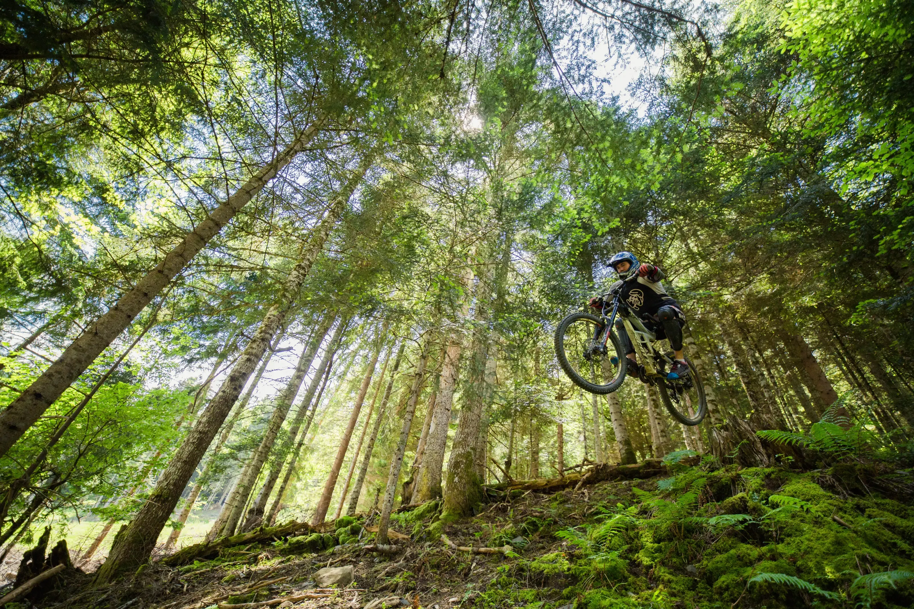 VTT dans la forêt du Fabian Bike Center près de Piau 