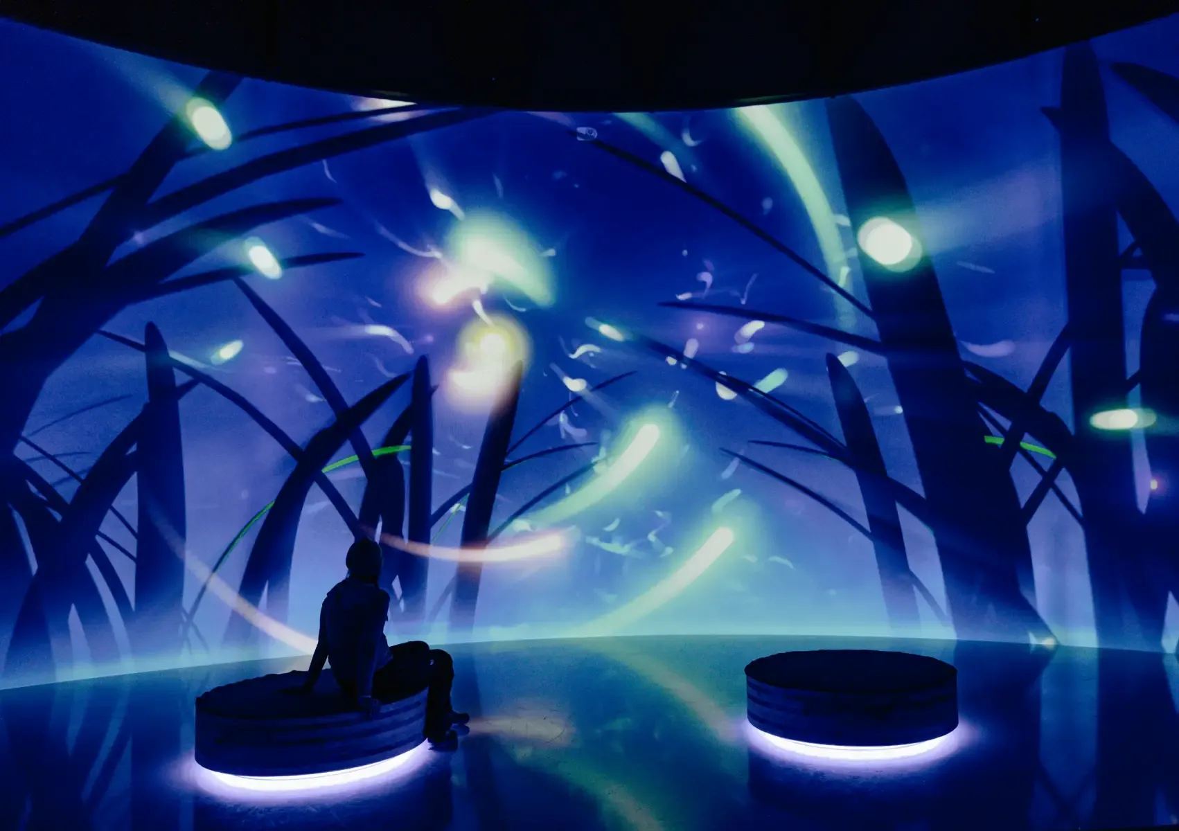 Animation à la maison du tourmalet