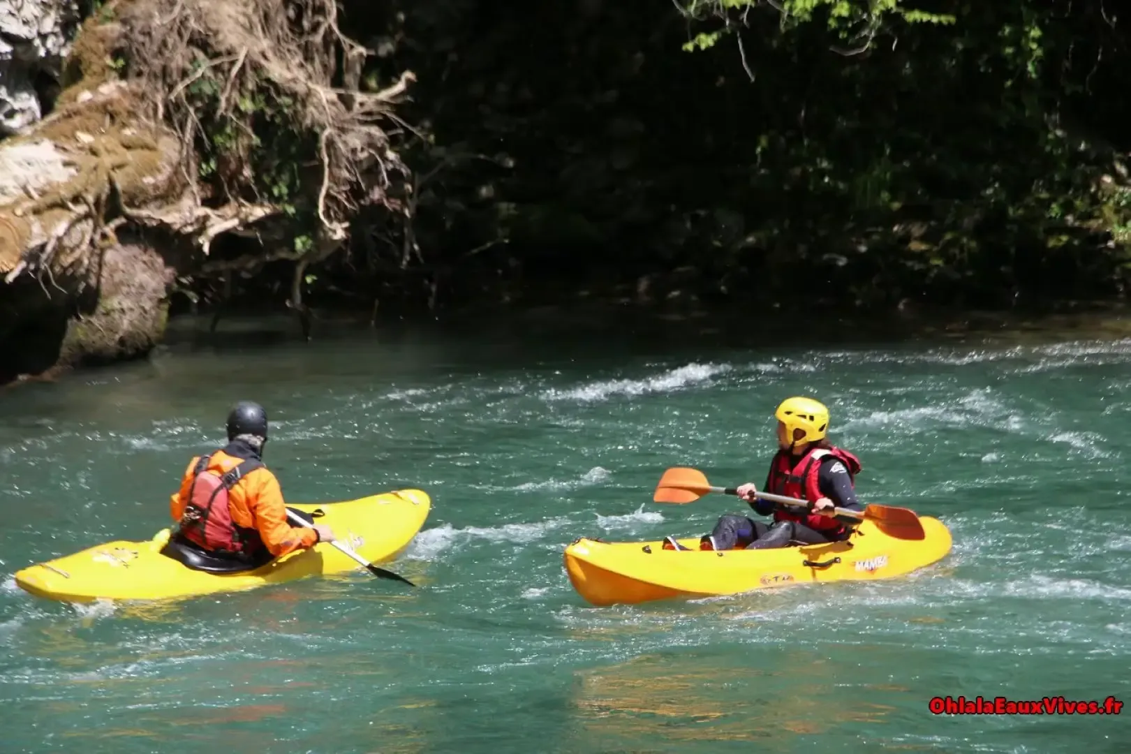 Canoeing and Kayaking on the Gave de Pau River