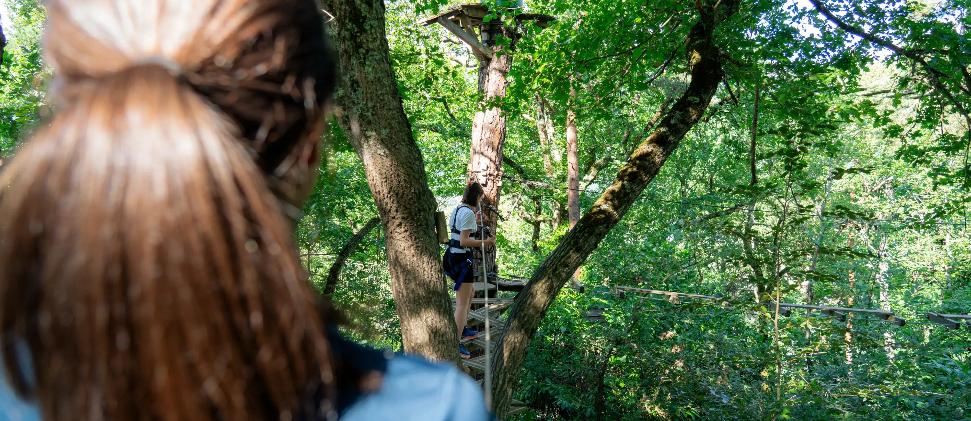 Accrobranche  avec ligne de vie