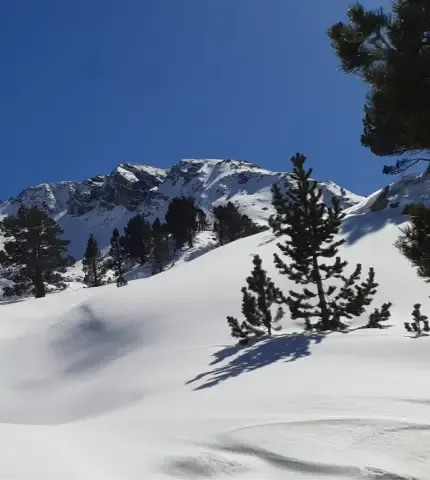 Winter Néouvielle