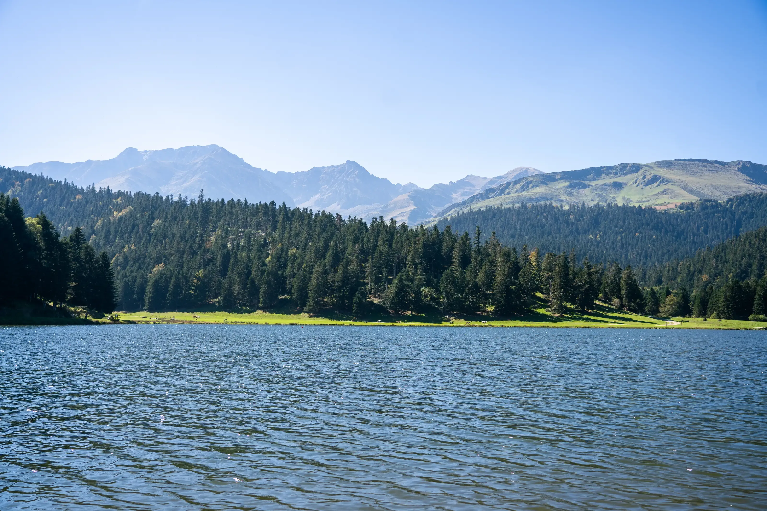 Lac de Payolle au soleil en été