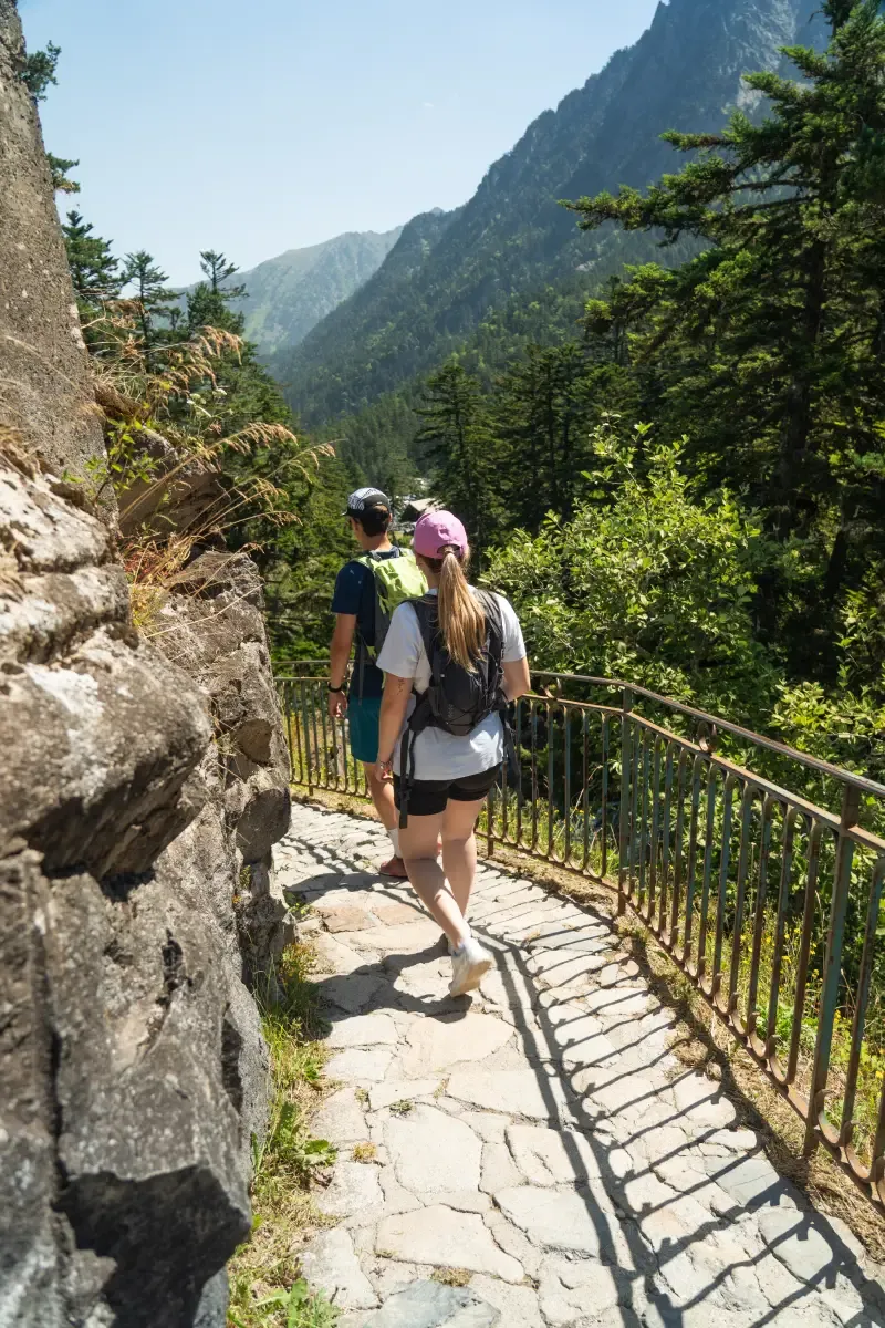 Randonneurs en pleine nature