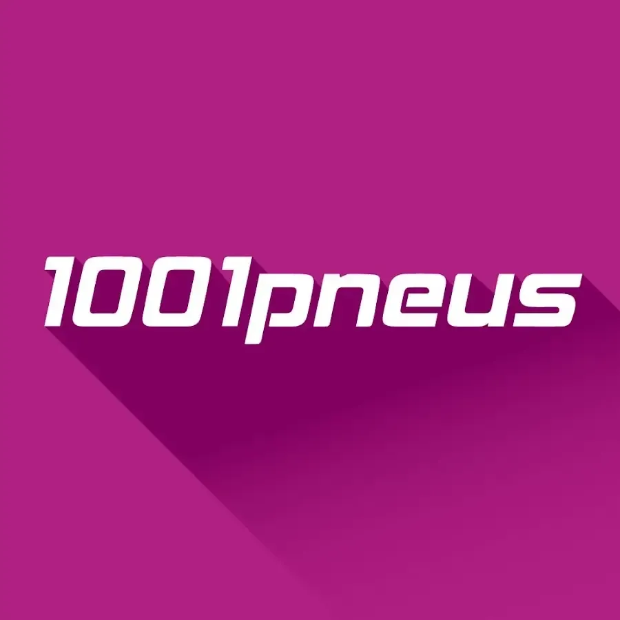 logo png 1001 pneus