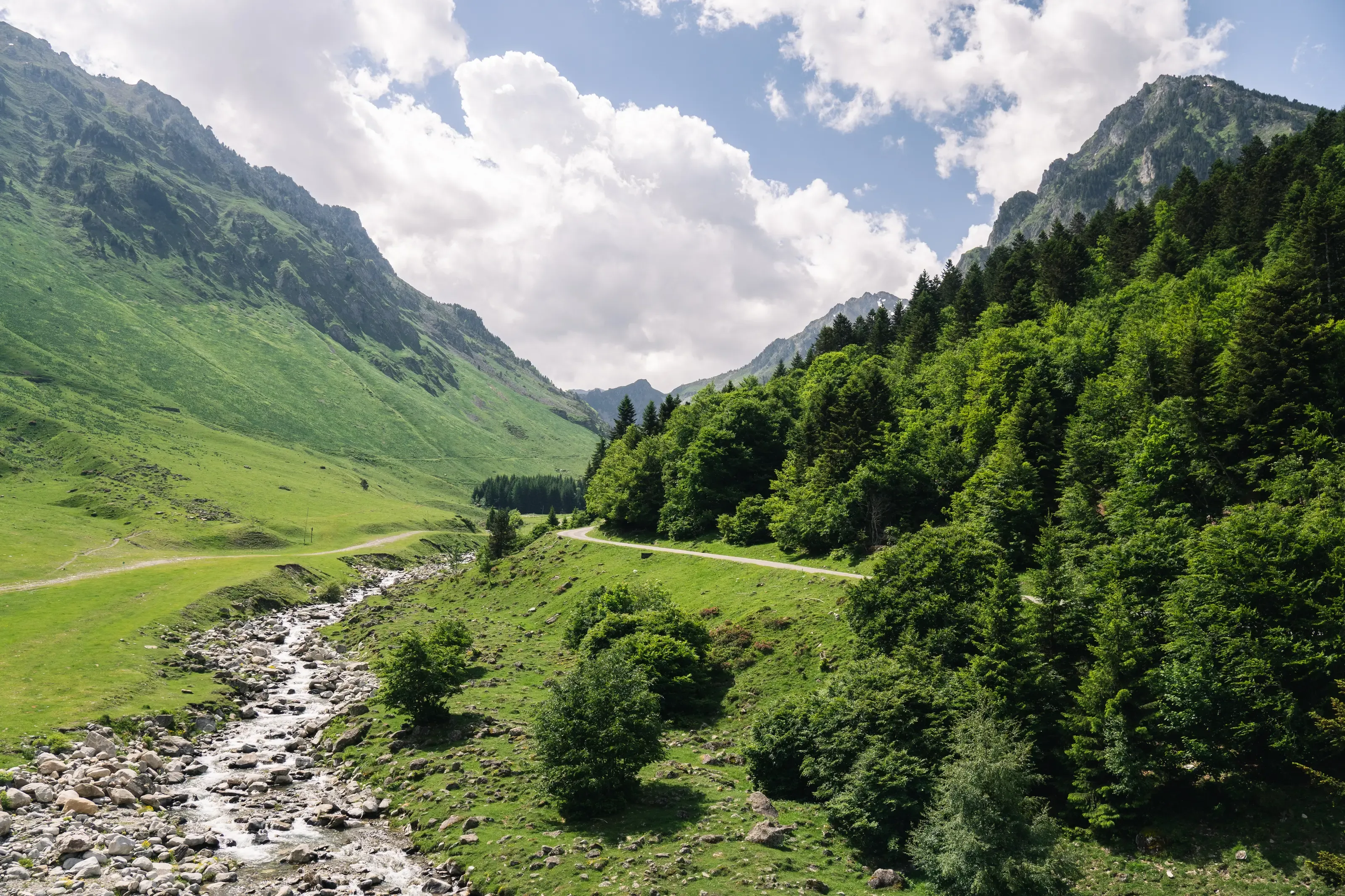 Vallée-de-barèges-en-été-forêt-et-ruisseaux