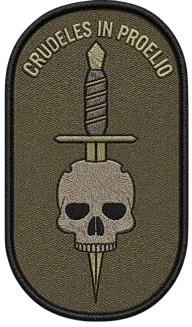 N.S.O.G. holdpatch placeholder
