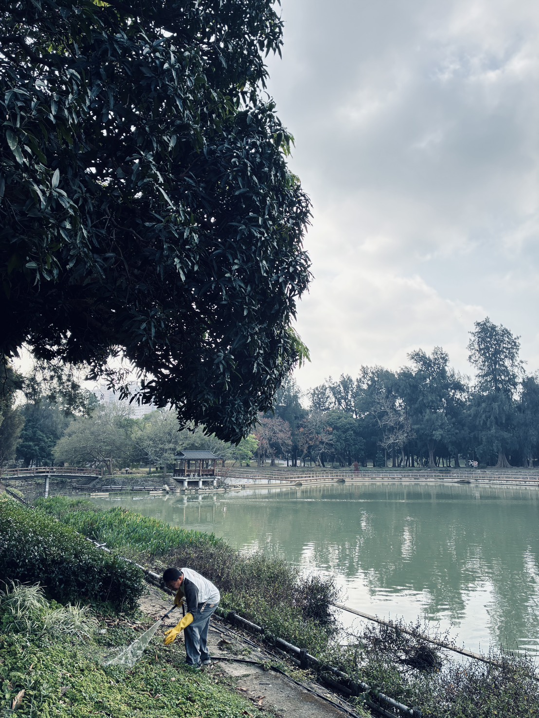 National Tsing Hua University Water Reuse Policy