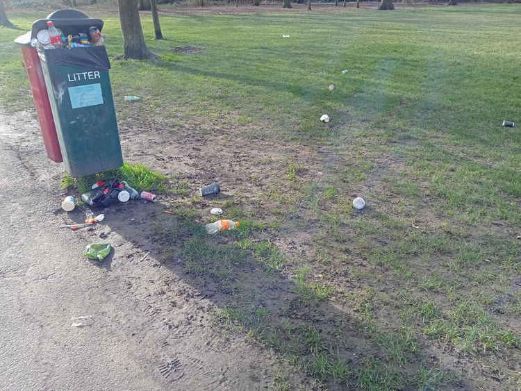 Tooting Common at the beginning of March