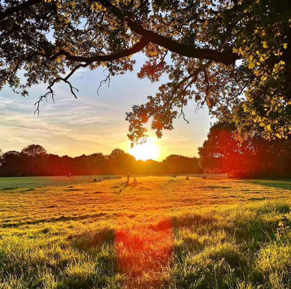 Thanks to @emeldhir on Instagram for this beautiful shot of Tooting Commons!