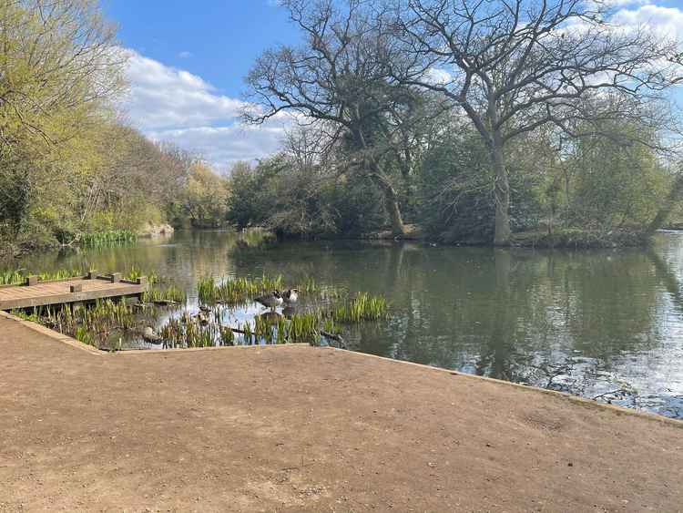 Tooting Common