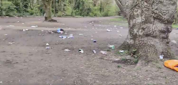 Litter on Tooting Common (28th March) |  @elliepyemont on Twitter