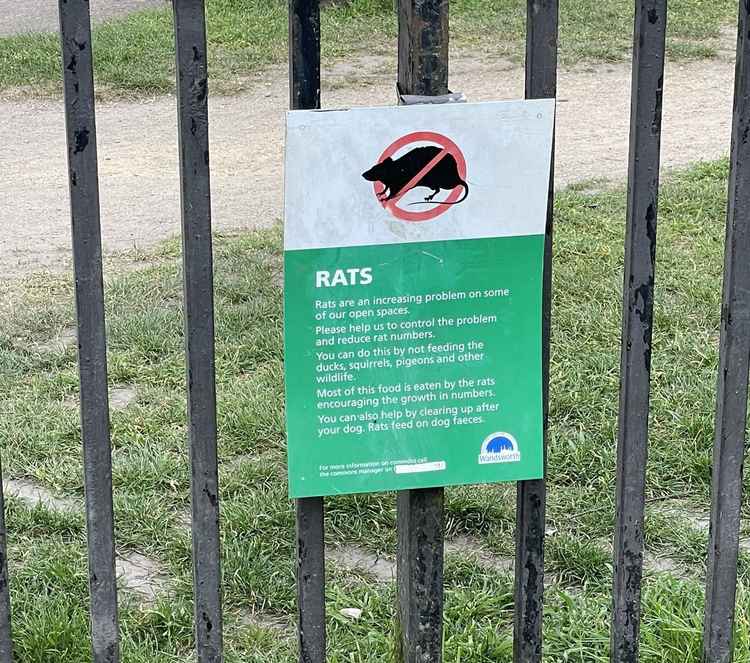 New signage to deter the rat population