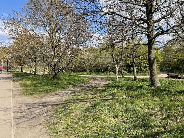 Tooting Common