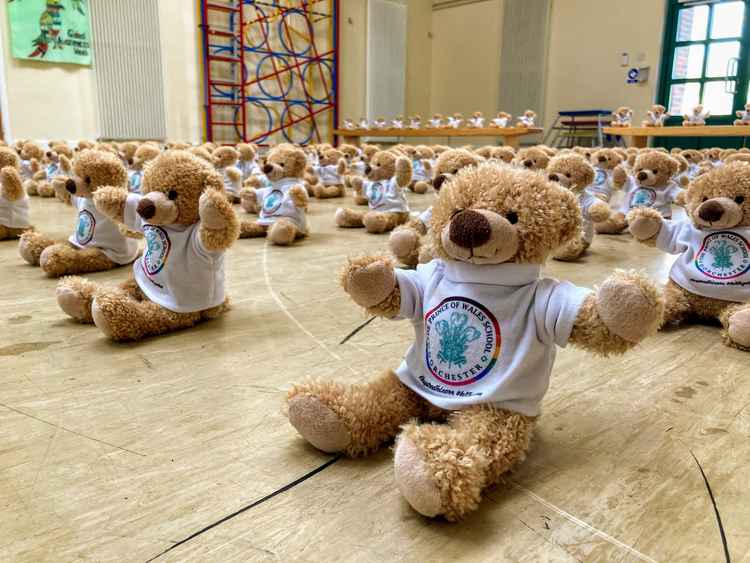 The Prince of Wales School bears