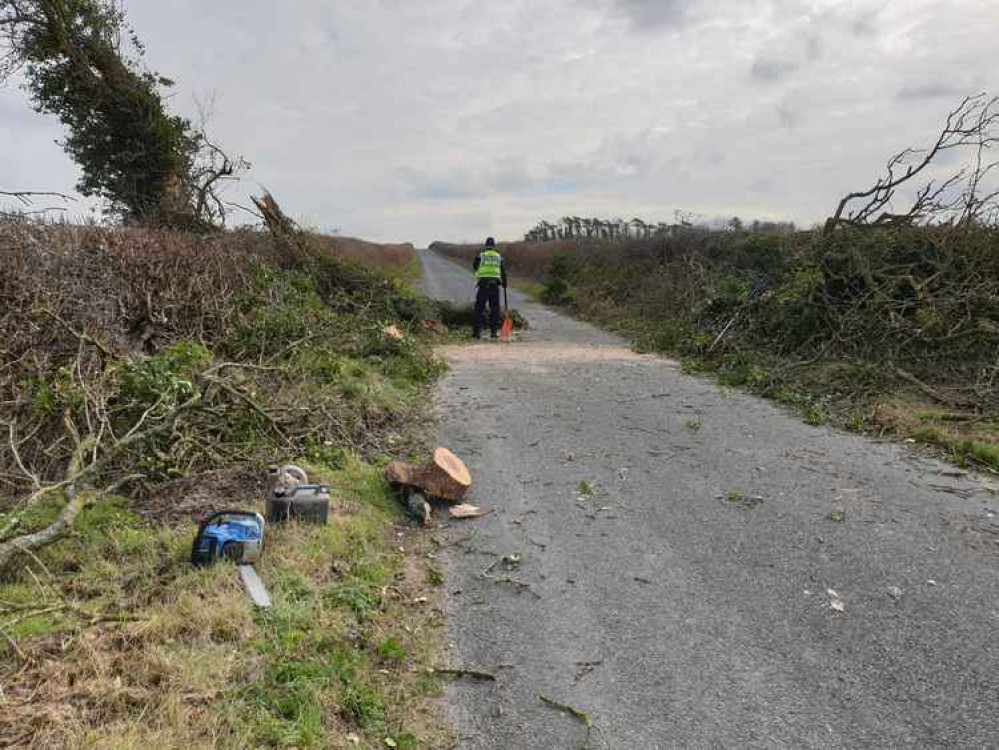 Police were called to reports of a tree blocking the road just after 10.30am this morning Picture: Dorset Police