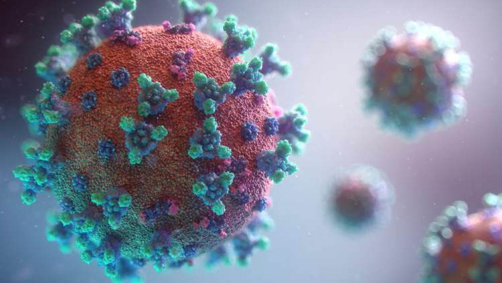 Recorded coronavirus cases have increased by over 10 per cent (Image: Fusion Medical Animations)