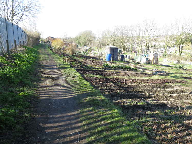 Hawthorn Road allotments