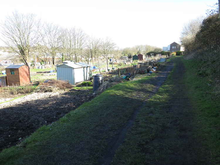 Hawthorn Road allotments