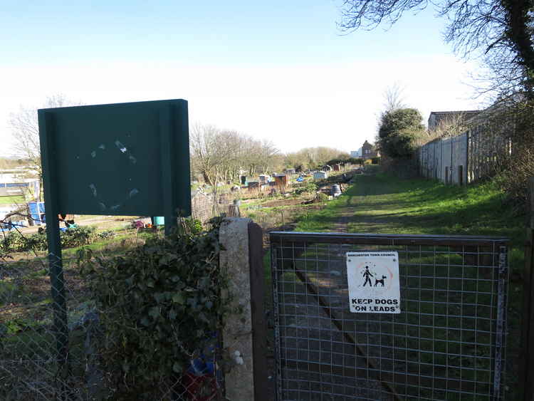 Hawthorn Road allotments