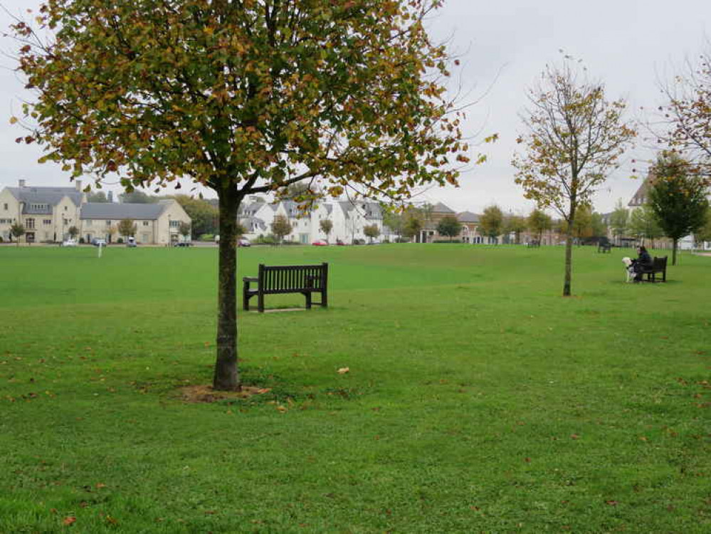 The Great Field in Poundbury