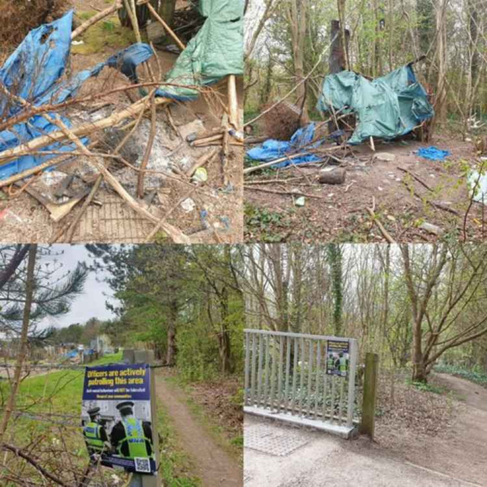 The woodland near Herringston Road allotments Picture: Dorchester Police