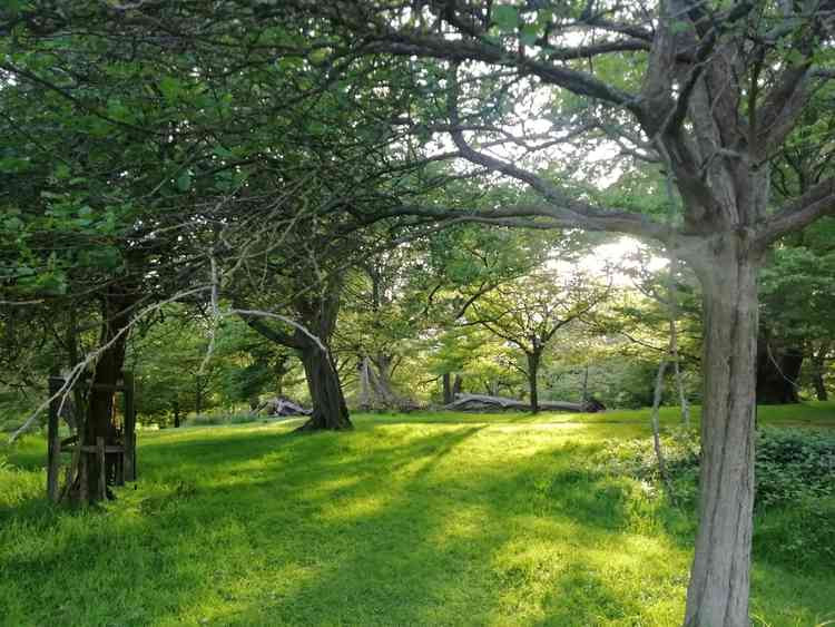 Richmond Park is a 2,500 acre green space