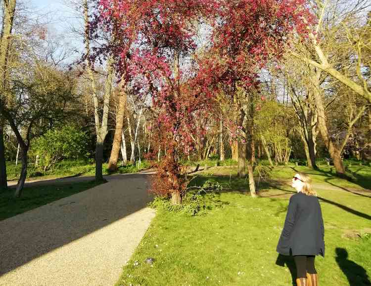 The green grounds outside Orleans House Gallery