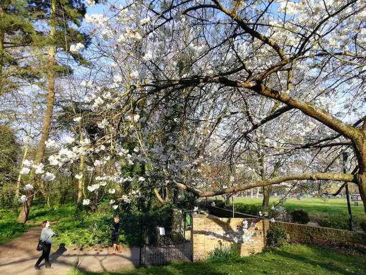 The gallery is found off Marble Hill Park