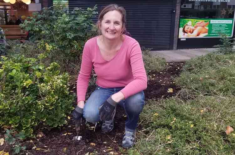 Cllr Frieze planting bulbs in the raised beds by the shops on Ashburnham Road in Ham