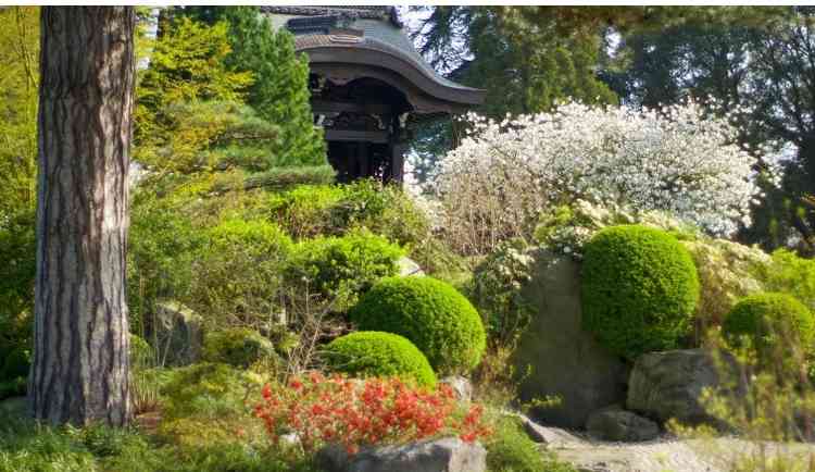 The Japanese Landscape gardens area. Photo credit RPG Kew