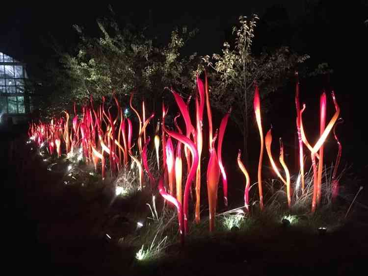 In 2019 the nighttime Chihuly events proved a hit