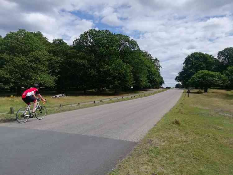 Richmond Park - a popular space for cycling