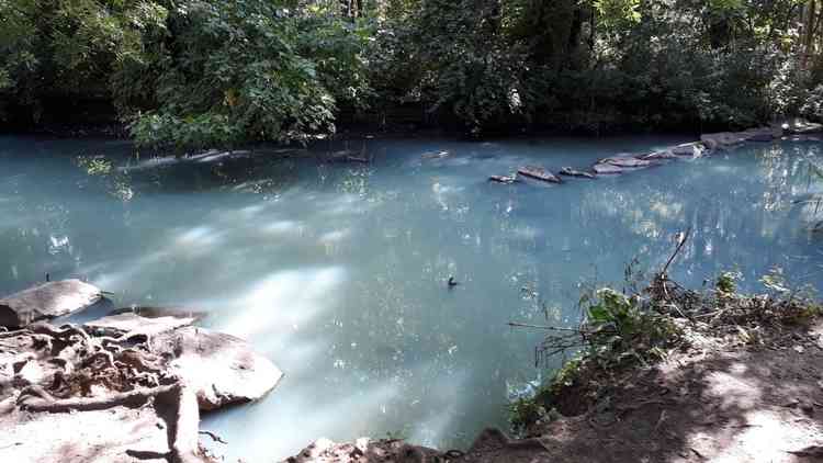 Photo of the River Crane posted by Friends Of the River Crane Environment