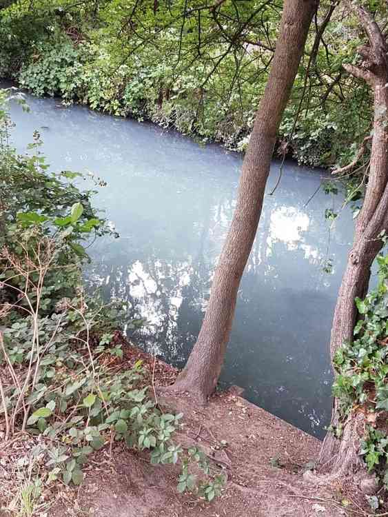 Another pic of the polluted river