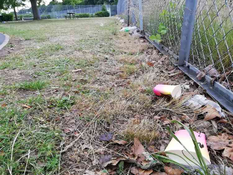 Richmond Council is unhappy at having to use extra resources to tackle littering