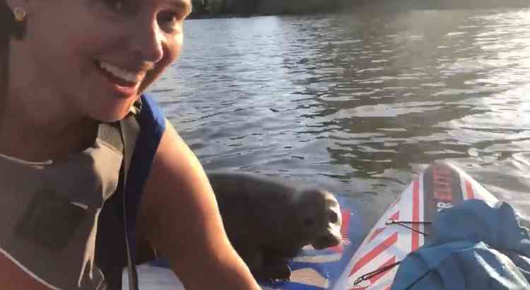 Screenshot of Tara and Dana's encounter with a seal