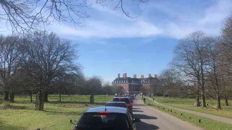 Traffic in Richmond Park. Photo by @jarrodbischoff