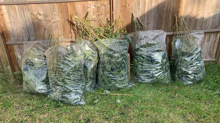 Photo of the 'cannabis factory' posted by @MPSStMargarets