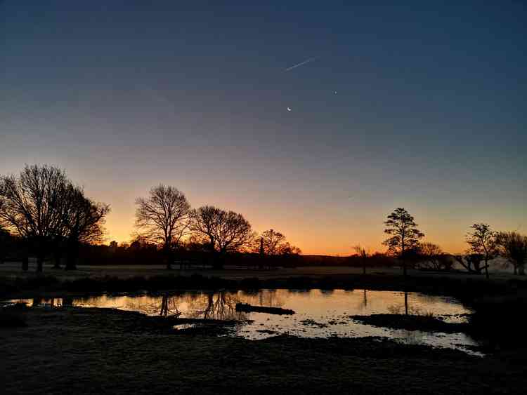 Richmond Park after dark - still the familiar space you know and love. Photo by Amanda Boardman (@mandsby on Instagram)