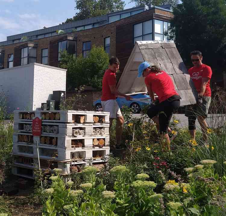 Four GoodGym Richmond members carried the slate roof over to the hotel on the Three Pigeons Plot