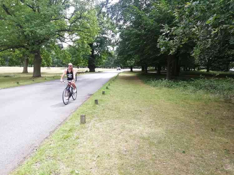 Cycling is a popular activity in Richmond Park but tensions sometimes boil over