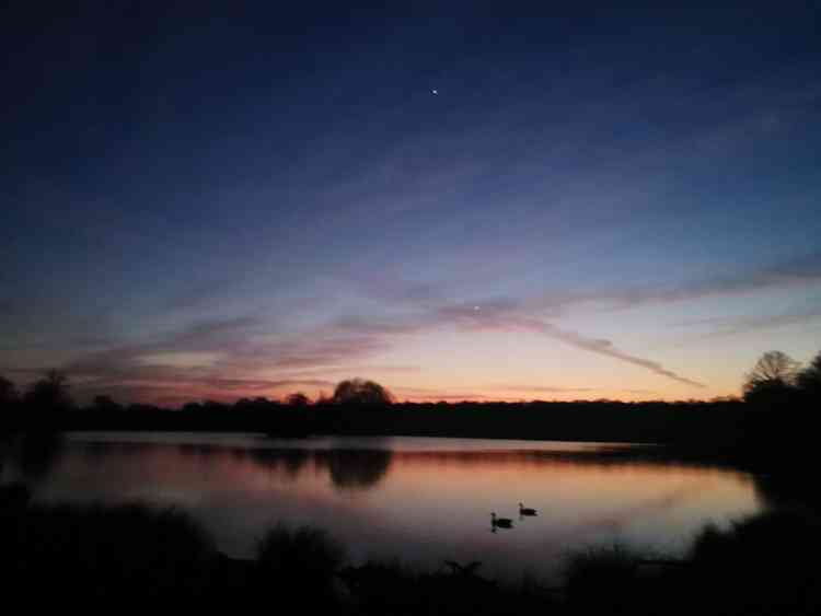 Richmnond Park at night by Amanda Boardman